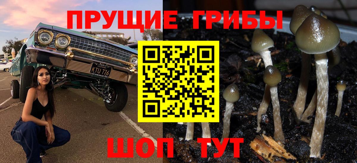 Уварово  Псилоцибиновые грибы Cubensis  закладка  Вход с VPN 