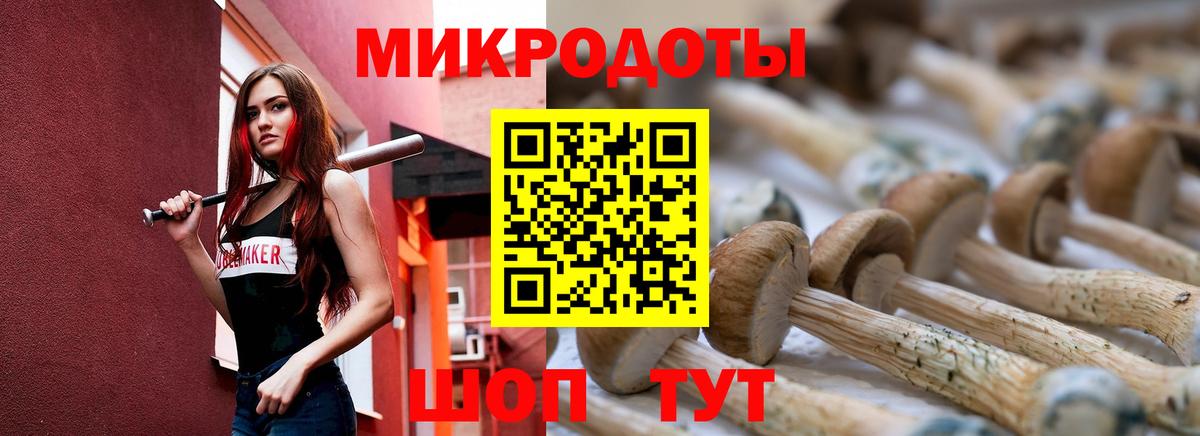 Псилоцибиновые грибы мицелий Уварово